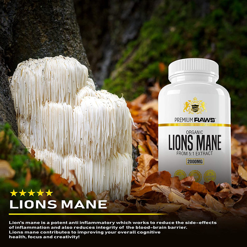 Lions Mane Mushroom Capsules | Cognitive Focus & Immune Support | 90 Capsules