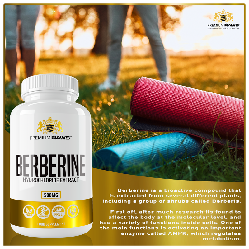 Berberine HCL 97% 120 Capsules | 500mg