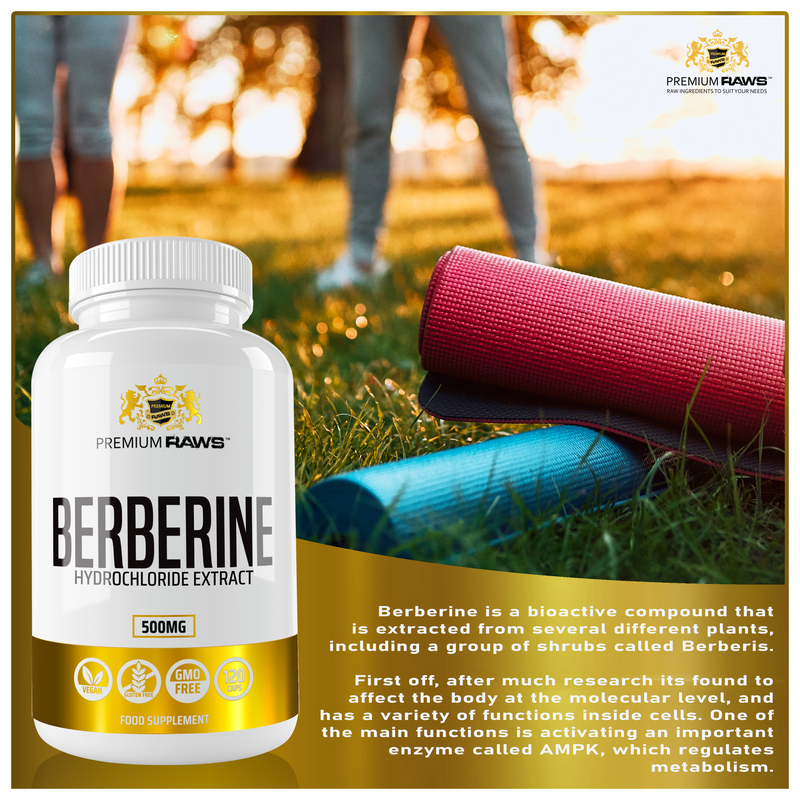 Berberine HCL 97% Capsules | 500mg